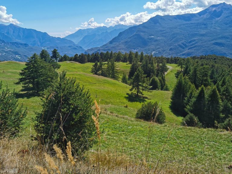VDA Traverse - Patrik Gerbaz MTB Guide - Valle d'Aosta